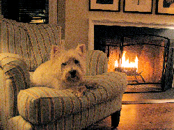 Thumbnail image for Opportunity
